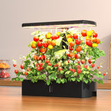 NNEDSZ Green Fingers Hydroponics Growing System with LED lights