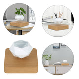 NNEOBA Levitating Air Bonsai Pot