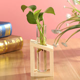NNEOBA Glass and Wood Vase Planter Terrarium Table Desktop Hydroponics Plant Bonsai Flower Pot Hanging Pots with Wooden Tray Home Decor