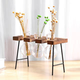 NNEOBA Glass and Wood Vase Planter Terrarium Table Desktop Hydroponics Plant Bonsai Flower Pot Hanging Pots with Wooden Tray Home Decor
