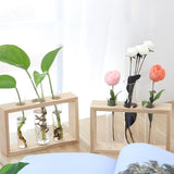 NNEOBA Glass and Wood Vase Planter Terrarium Table Desktop Hydroponics Plant Bonsai Flower Pot Hanging Pots with Wooden Tray Home Decor