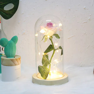 NNEOBA "Enchanting Beauty And The Beast LED Glass Dome Forever Rose - Multicolor USB Powered