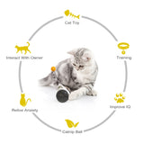 NNEOBA Pet Tumbler Swing Toys