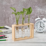 NNEOBA Glass and Wood Vase Planter Terrarium Table Desktop Hydroponics Plant Bonsai Flower Pot Hanging Pots with Wooden Tray Home Decor