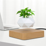 NNEOBA Levitating Air Bonsai Pot
