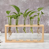 NNEOBA Glass and Wood Vase Planter Terrarium Table Desktop Hydroponics Plant Bonsai Flower Pot Hanging Pots with Wooden Tray Home Decor