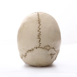 NNEOBA Human Skull Statue: Intriguing Home Decor & Halloween Accent