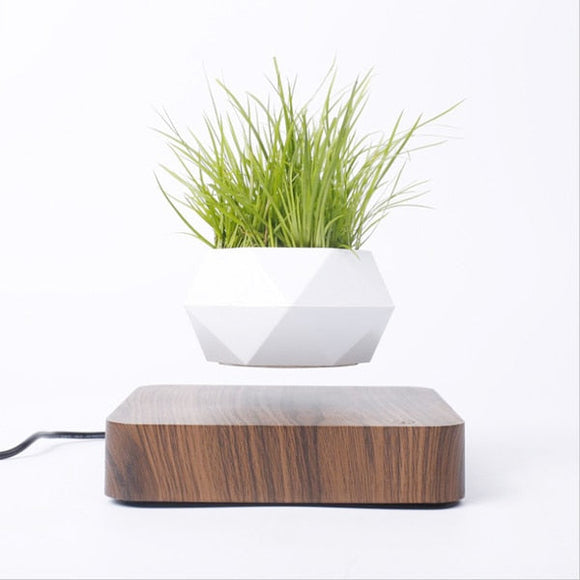 NNEOBA Levitating Air Bonsai Pot