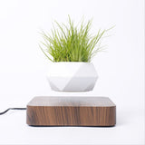 NNEOBA Levitating Air Bonsai Pot