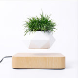 NNEOBA Levitating Air Bonsai Pot