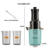 NNEMB Cold Press Slow Juicer Machine, Large Chute, 200W, Seafoam Green