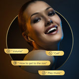 Silver Binaural Tws Bluetooth 5.0 Earphones - T03S Pride Version-1915196597621362690