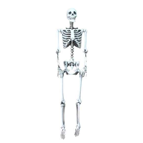 NNEOBA Life Size Halloween Skeleton Decoration