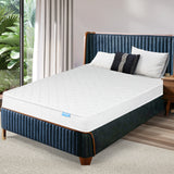 Dreamz Mattress Spring Coil Bonnell Queen-1910112887398076422