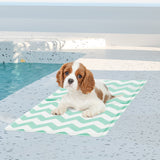 Pawz Pet Cooling Mat S Green-1910112256960630790