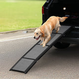 Pawz Dog Ramp-1937319800388849670