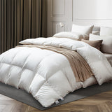 DreamZ 700GSM All Season Goose Down King Single-1937319837307113478