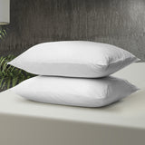 Dreamz Pillows Inserts Cushion Soft-1910113194433712134