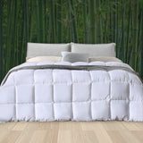 DreamZ 200GSM All Season Bamboo Winter Queen-1910113010496704518