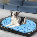 Pawz Pet Cooling Mat XL Blue-1937319803899482119