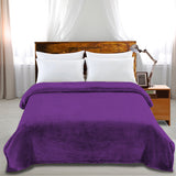 DreamZ 320GSM 220x240cm Ultra Soft Mink Aubergine Queen-1919892913135947783