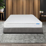 Dreamz Mattress Spring Coil Bonnell Single-1910112887544877063