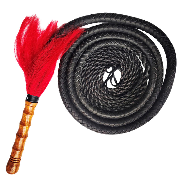 NNEOBA Martial Art Wushu Whip
