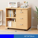 NNETB Office Filing Cabinet with Drawers and Door