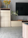 NNETB Modern Floor-Standing TV Cabinet Combo with Storage