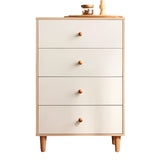 NNETB 4-Drawer Wooden Storage Cabinet