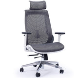 NNEMB Ergonomic Office Desk Chair, Coolmesh Fabric, Headrest, Adjustable Lumbar Support, Recline and Armrests, Dark Grey Mesh/White Frame