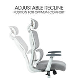 NNEMB Ergonomic Office Desk Chair, Coolmesh Fabric, Adjustable Lumbar Support, Headrest, Armrest and Recline, White Mesh/Grey Frame