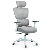 NNEMB Ergonomic Office Desk Chair, Coolmesh Fabric, Adjustable Lumbar Support, Headrest, Armrest and Recline, White Mesh/Grey Frame