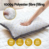 NNEDSZ Giselle 4pcs Pillows Microfibre