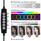 Curved Surface Ring Light With Usb 10 Modes 8 Colour Rgbw Cold Shoe Tripod Black-1915196780950196231
