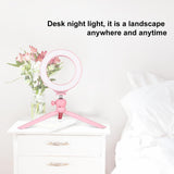 6.2 Led Ring Light With Usb 3 Modes Dimmable Cold Shoe Tripod Mount - Pink-1915196538020302857