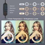 11.8 Led Ring Light Kit With Tripod & Dual Phone Brackets - 3 Modes Dual Colour Temperature Curved Surface Type-C - Black-1915196511776542725