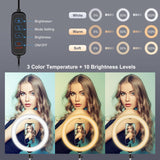 11.8 Dual Colour Led Ring Light With Phone Clamp - 3 Modes-1915196783194148867