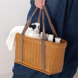NNEOBA Rattan-Like Portable Storage Basket for Picnic