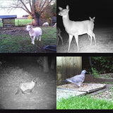 12Mp Waterproof Trail Camera With Night Vision And 2.0 Lcd-1915197790892462087