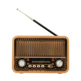 NNEOBA Classic Retro Full Band Radio Gold