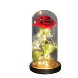 NNEOBA Beauty and the Beast Eternal Rose in Glass