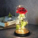 NNEOBA Beauty and the Beast Eternal Rose in Glass