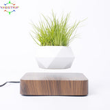 NNEOBA Levitating Air Bonsai Pot