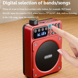 NNEOBA Dual Magnetic Speakers Digital FM Radio Red