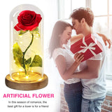 NNEOBA Beauty and the Beast Eternal Rose in Glass