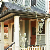 Halloween Movable Skeleton Skull & Bones Decoration