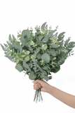 15pcs Mixed Willow & Silver Artificial Eucalyptus Stems & Leaves