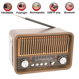 NNEOBA Portable Multi-Band Radio Brown