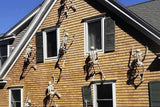 Happy Halloween Humanoid Skeleton Decorations – 2PCS Plastic Skeleton Props for Haunted House, Home, Bedroom, Balcony & Party Décor